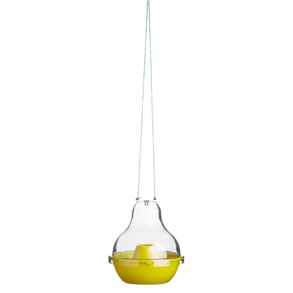 NoPests® Wasp Dome Trap (Reusable) - Lure Not Included